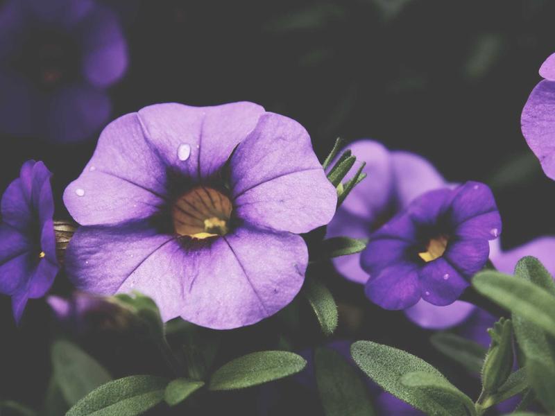 sudoku naked pairs screenshot 3